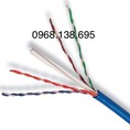 Cáp CommScope AMP chính hãng cat.6 UTP 1427254 6 GIÁ ƯU ĐÃI Đầy đủ CO, CQ, hỗ trợ giá cực tốt cho dự án