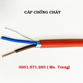Cáp chống cháy 2x1.0 có chống nhiễu