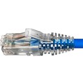 Dây nhảy patch cord Cat 5e Commscope/AMP