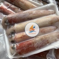 Mực ống tươi ngon giá chỉ 280k/kg tại hải sản bốn mùa