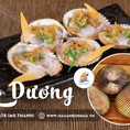 Sò dương hàng tươi sống mỗi ngày giá chỉ 280k/kg