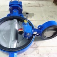 Van đường đẩy BFV150AKitz