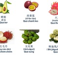 Học từ vựng chủ đề hoa quả tiếng Trung cùng Atlatic nhé