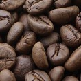 Cà phê robusta loại 1 giá sỉ bình ổn 1 năm tại Bạc Liêu
