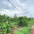 Bán 92000m2 rẫy phù hợp làm trang trại , xã K dang, dak Doa, Gia Lai