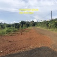Sốt Cao Hơn Covid 19 Chỉ có Thể là Sốt Đất Bảo Lộc