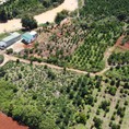 Bán đất tại Đường Triệu Quang Phục, Bảo Lộc, Lâm Đồng diện tích 2,200m2 giá 1.6 Tỷ