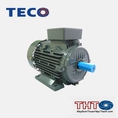 Motor Teco 20 HP