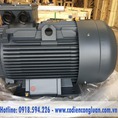 Động cơ Motor điện QM 0.37kw 1000kw, giá sỉ toàn quốc