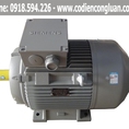 Bảng giá động cơ motor điện Siemens mới nhất 2020
