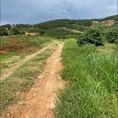 Cần bán lô Đất thôn 6 gia lâm, Lâm hà ,lâm đồng