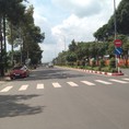 Bà nội tôi cần bán lại lô đất 168m2 400tr Sổ hồng riêng, Đồng Phú, Bình Phước.