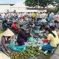Đất nền mặt tiền 145m2 330tr sát KCN công nhân đông đúc, tiềm năng hiện hữu , Đồng Phú, Bình Phước.