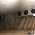 Tại ANKACO cung cấp kho đông lạnh thực phẩm, lắp đặt kho lạnh bảo quản trọn gói