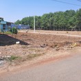 Cần bán nền đất 168m2 300tr sát KCN 60 nghìn công nhân đang làm việc, Đồng Phú, Bình Phước.