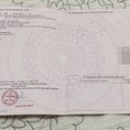 Chính chủ bán lô đất tại thôn 5, xã Diên Đồng, Diên Khánh, Khánh Hòa.
