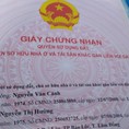 Chính chủ cần bán lô đất cà phê tại Xóm 1, Thôn 10