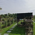 Cần bán đất khu vực Diên Khánh, bên cạnh là khu resort, đường 13m