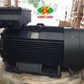 Motor điện động cơ điện QM 18.5kw, Hàng chính hãng