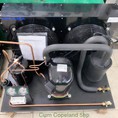 Cụm máy nén dàn ngưng 5 HP CRNQ 0500 TFD 522
