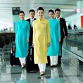 Hỗ trợ tuyển dụng đào tạo ngành quản trị hàng không và sân bay