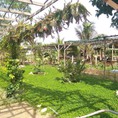 Đất khu vực Diên Khánh, gần ủy ban, trường học, giá chỉ 450tr