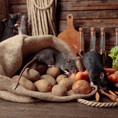 Thiết bị đuổi các loại côn trùng bằng sóng âm Pest Reject chính hãng,máy đuổi chuột cho gia đình,nhà hàng,xí nghiệp
