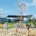 Chính chủ cần ra đi lô đất Diên Khánh 1000m2 giá rẻ