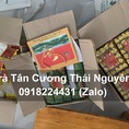 Trà Thái Nguyên Tân Cương của Cửa hàng Hải Trà Tân Cương