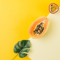 Cung cấp enzyme Papain chiết xuất từ đu đủ hoạt lực cao
