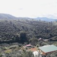 Chính chủ bán đất view thung lũng Xuân Trường Tp Đà Lạt