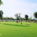 Bán đất gần bến xe trung tâm thành phố Lào Cai