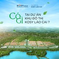 Bán đất nền dự án Kosy moutain view