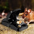 4 Bẫy chuột thông minh siêu nhạy mini Đặt chuột nhỏ, Chuột xạ...