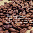 Cà phê hạt rang nguyên chất giá sỉ chất lượng cao tại Tây Ninh