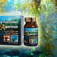 Tác dụng của thuốc fucoidan trong thúc đẩy tế bào ung thư tự chết