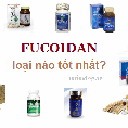 Fucoidan của Nhật Bản có ưu điểm vượt trội gì