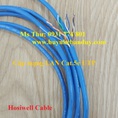 Cáp mạng Lan Cat5 SFTP chống nhiễu 2 lớp bằng màng và lưới