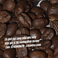 Cà phê nguyên chất giá sỉ tốt được hỗ trợ giá 12 tháng
