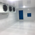 Báo giá lắp đặt kho lạnh bảo quản thịt heo tại Bến Tre