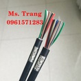 Cáp tín hiệu chống nhiễu quy cách 4x0.22mm