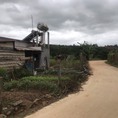 Gia Chủ Cần Bán Gấp Đất Đẹp Tại Mê Linh