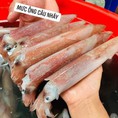 Địa Chỉ Bán Mực Tươi Quảng Ninh Ở Hà Nội