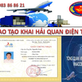Mở khóa học nghiệp vụ khai hải quan điện tử tại Hà Nội, Tp HCM, Hải Phòng