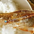 Thành phần dinh dưỡng trong cá phèn hồng