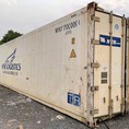 Container lạnh 40feet hãng tàu NYK