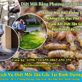 Công ty diệt mối tại Bình Dương dịch vụ diệt mối tại nhà