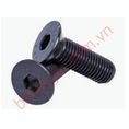 Bu lông lục giác chìm đầu bằng fhc bo series FHC BO M3x4