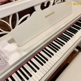 PIANO điện mới Bowman CX 250 có độ cảm nhận bàn phím hoàn hảo