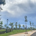 Bán đất mặt tiền Hà Huy Tập Buôn Ma Thuột giá 26 triệu/m2